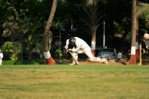cricket-166933_1280