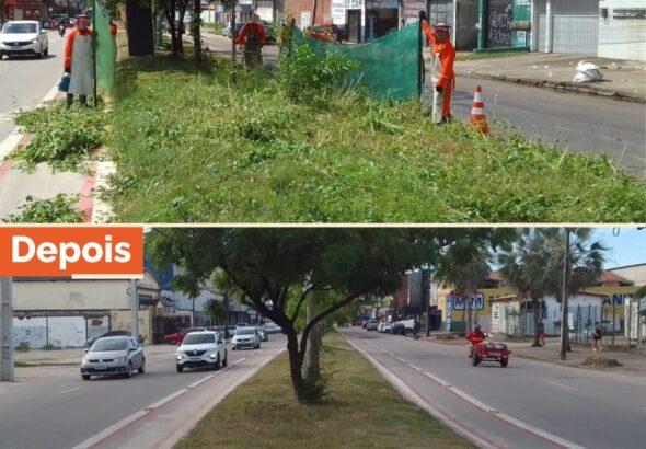 OPERAÇÃO CAPITAL LIMPA