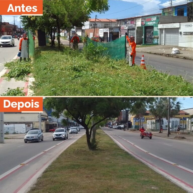 OPERAÇÃO CAPITAL LIMPA